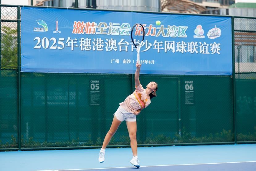 src, SILcv, 心组织了南